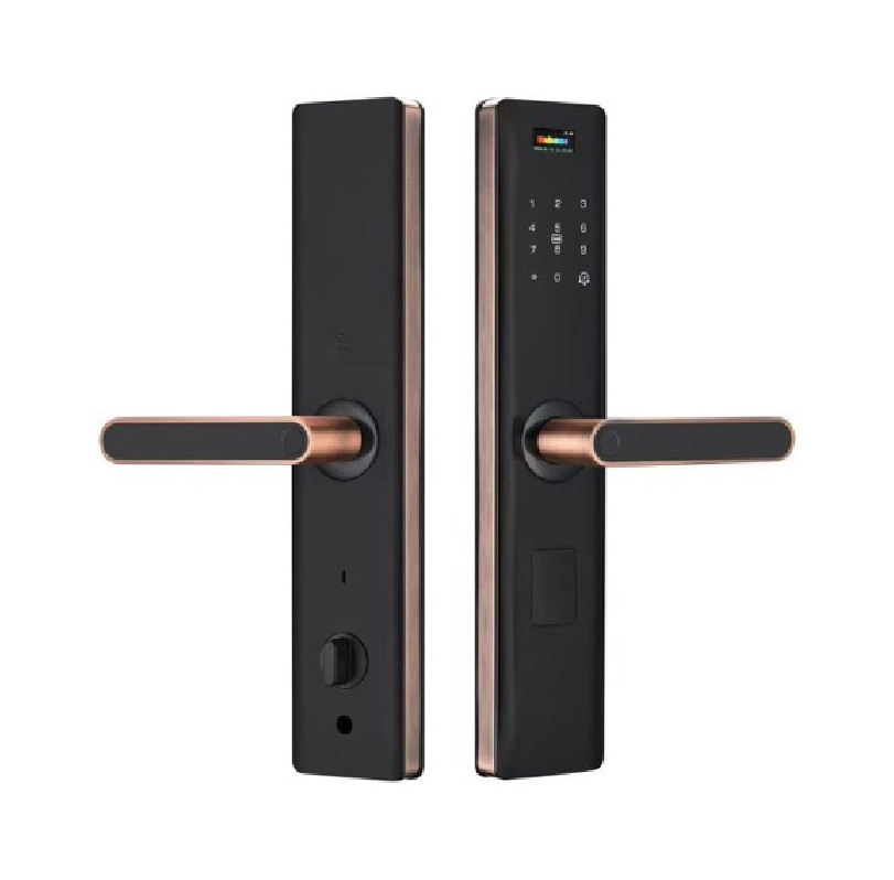 Rose Gold Digital Smart Lock